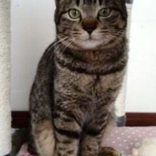 ちょっとビビリです