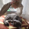 の写真