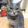 hamu.86