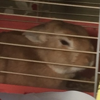 【交渉中】悔しい限りですがどうか宜しくお願いします