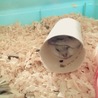 陸路さんありがとうございます(^O^)／