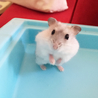 の写真