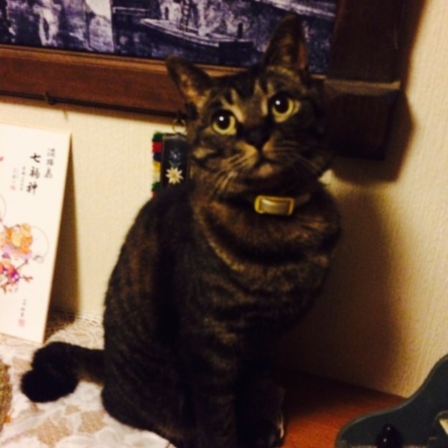 さっこ❤︎のカバー写真
