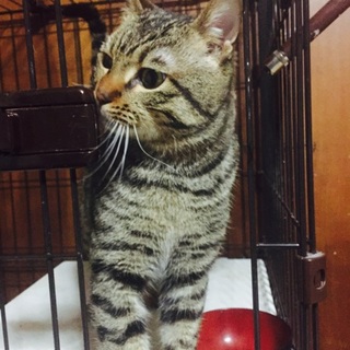 優しい方 お願いします