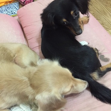 友達が遊びに来た〜(^-^)/