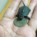 ありがとうございました！