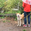大切に育ててくださるご家族が見つかりました
