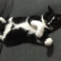 さしみ