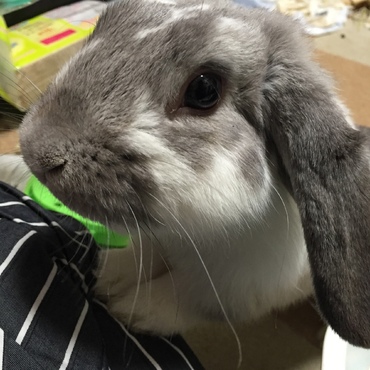 の写真
