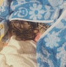 洗濯物の中でスヨスヨ…zzz