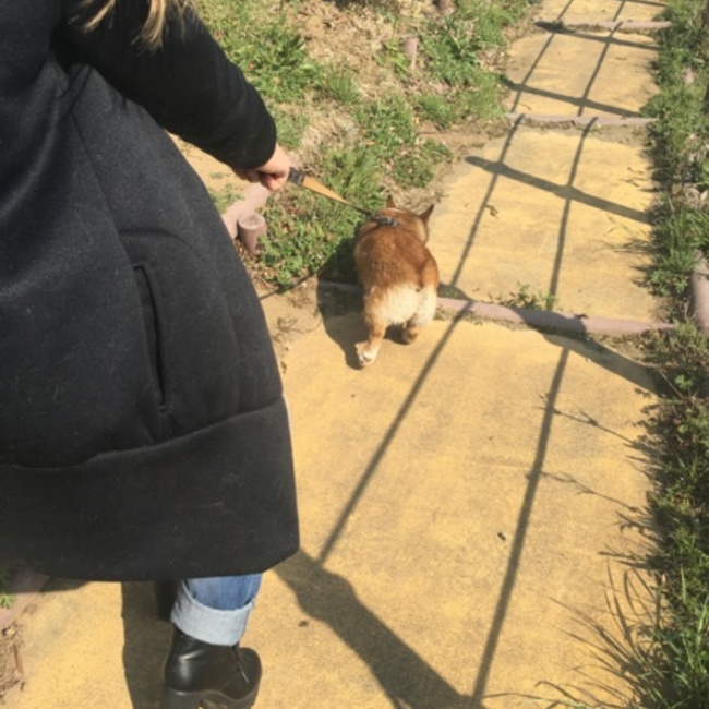 つぐあきしゃんのカバー写真