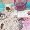 の写真