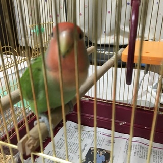  たくさんのご応募ありがとうございました