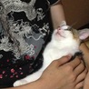 昔はベタベタの甘えん坊だったのになー