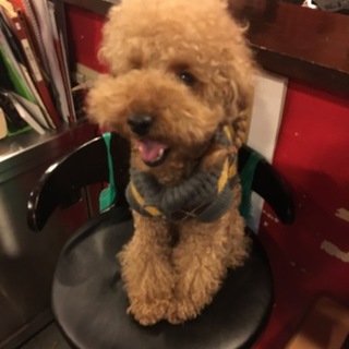 可愛い可愛い無邪気な２歳の男の子です