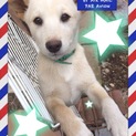 交渉中のため募集一時停止