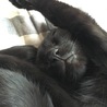 の写真