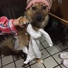 家族に遊ばれるようになった。