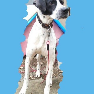 良いご縁が繋がりました♬