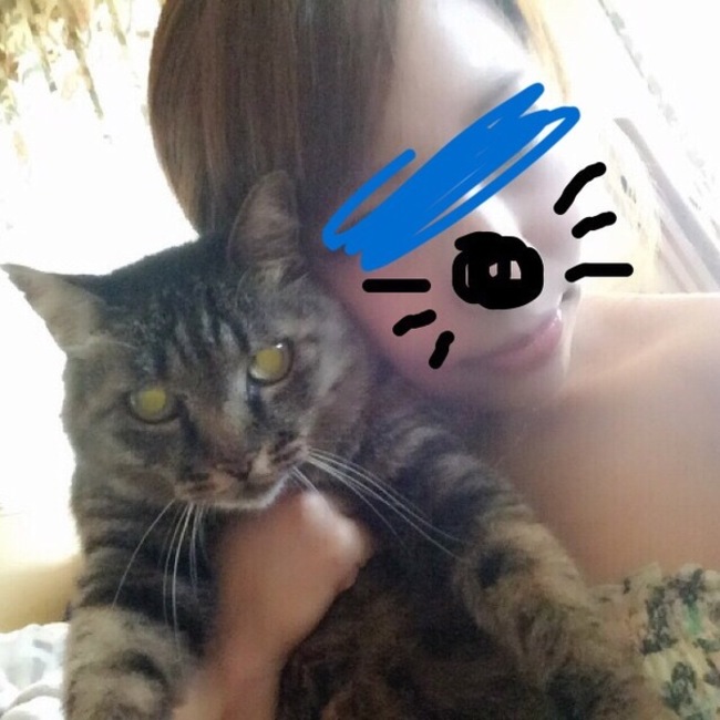 もこぺろのカバー写真