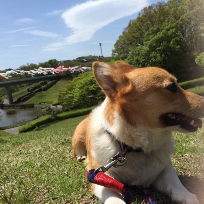 tetsumaro111のカバー写真