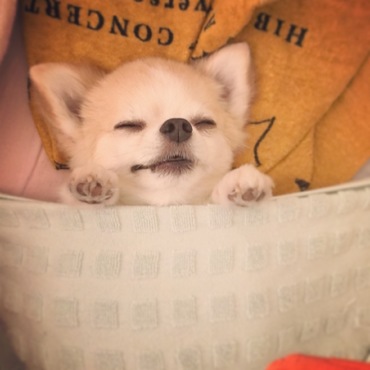 の写真