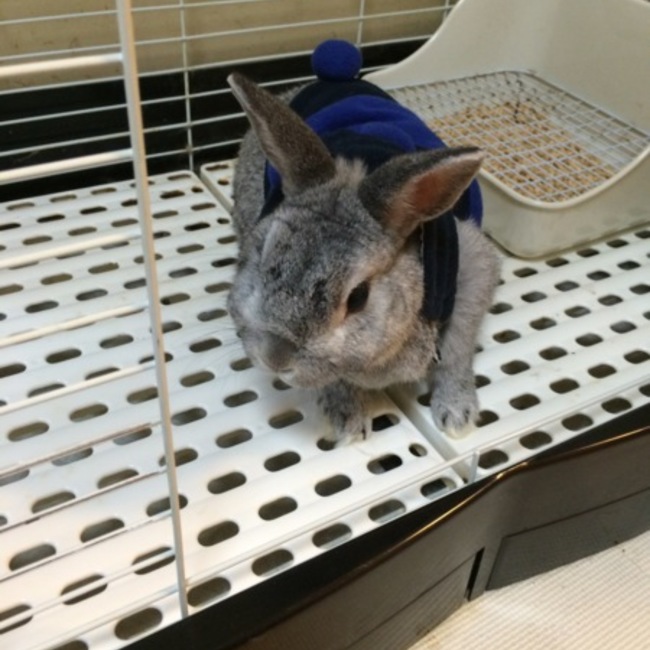 ☆CRMママ☆のカバー写真