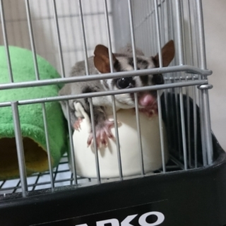 たくさんの応募ありがとうございました。