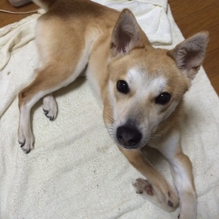 ハンデを感じさせない明るい女の子です！