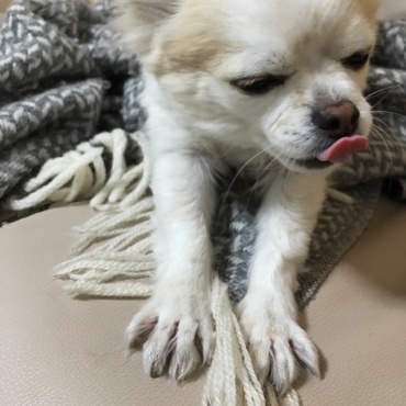 の写真