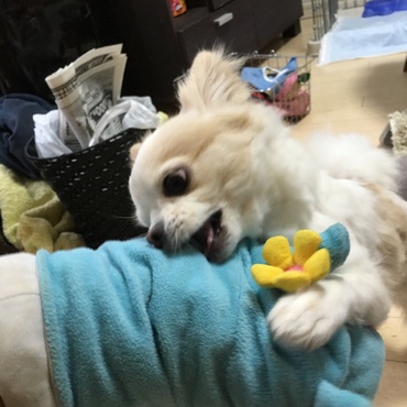 の写真