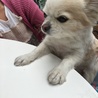 の写真