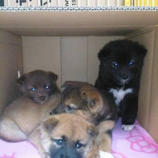 大至急ぉねがぃします！