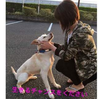 この子の命を救ってください。