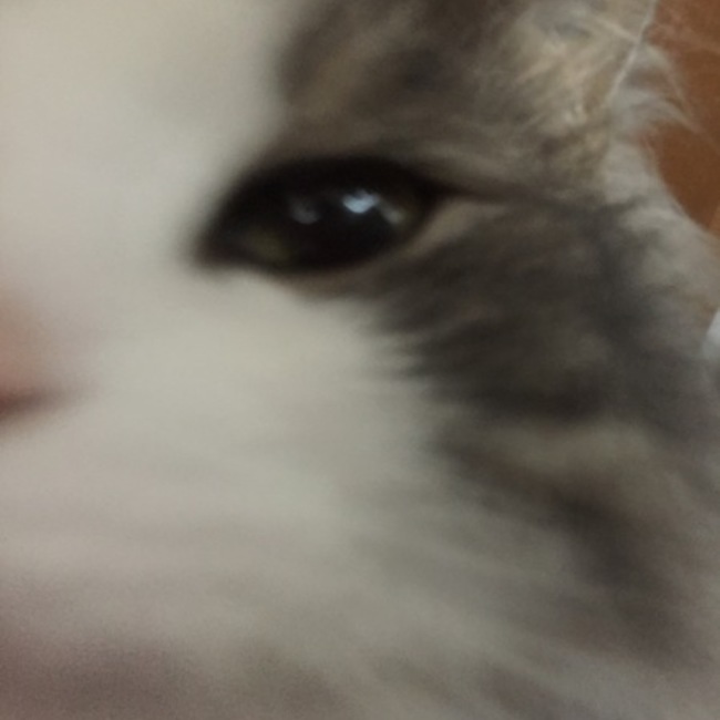 10mo317のカバー写真