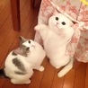 あつし1012