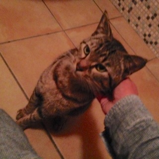 ありがとうございました