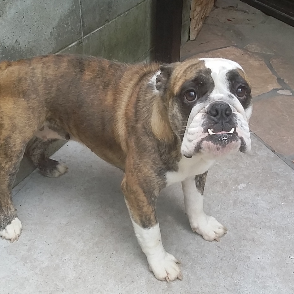 アキちゃんのカバー写真