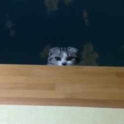 新学期、バタバタ！そして家庭訪問(>_<)