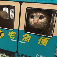 チャロタ