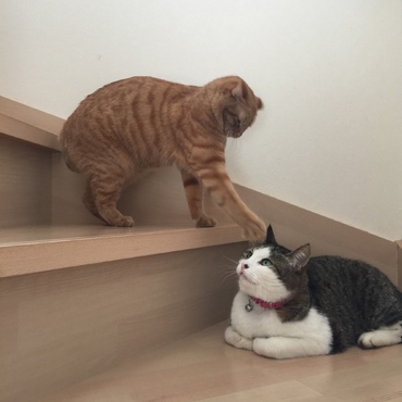 ちょっかい出さんといて〜w