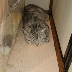 健康診断と予防接種