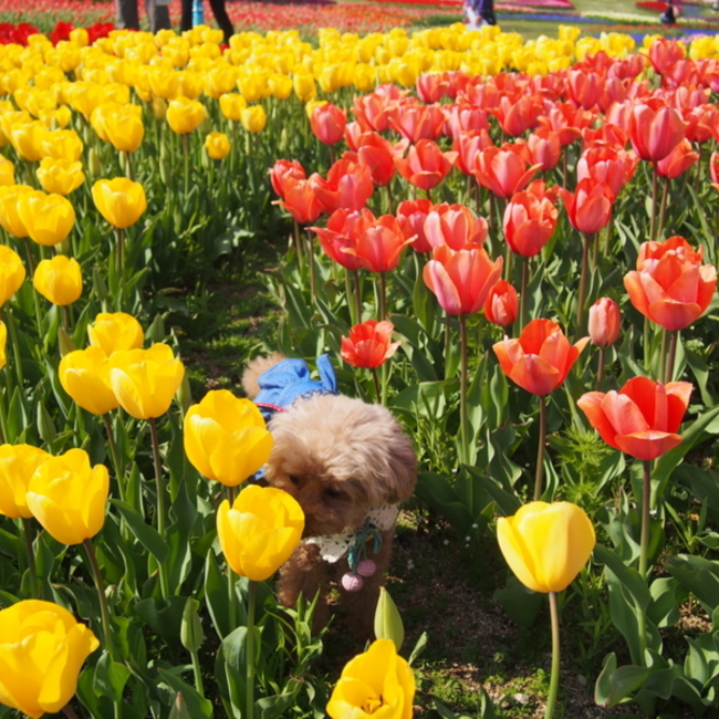 reitan7のカバー写真