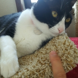 「大人になったって事かな？」サムネイル1