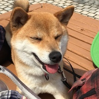みほ