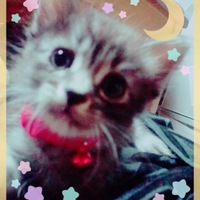 ぐり