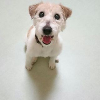 人が大好きエリザベスちゃん♪