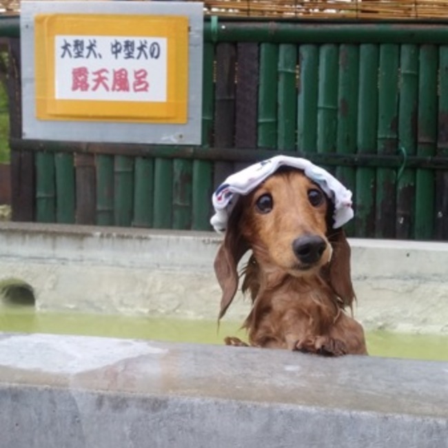 ＊ＣＲＥＡ＊のカバー写真