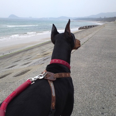 海に行った時の続きです。