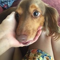 ありがとうございました